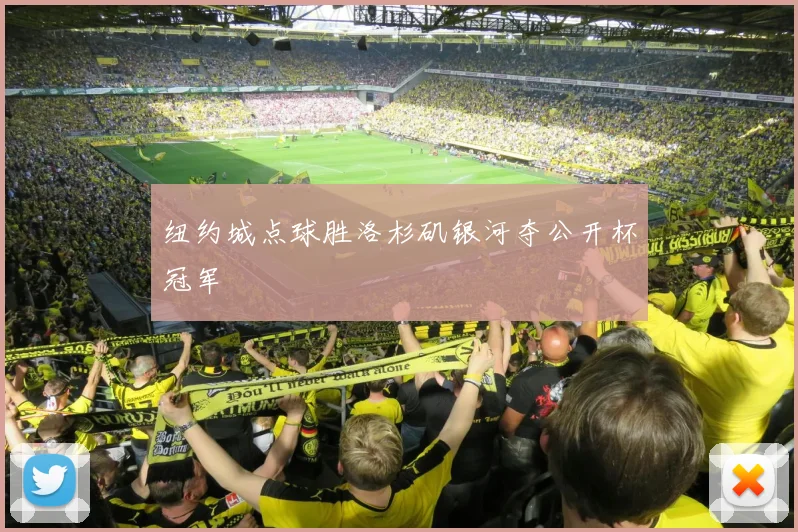 纽约城点球胜洛杉矶银河夺公开杯冠军